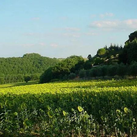 וילה Podere Caldaruccio La Pineta - 26 People & *