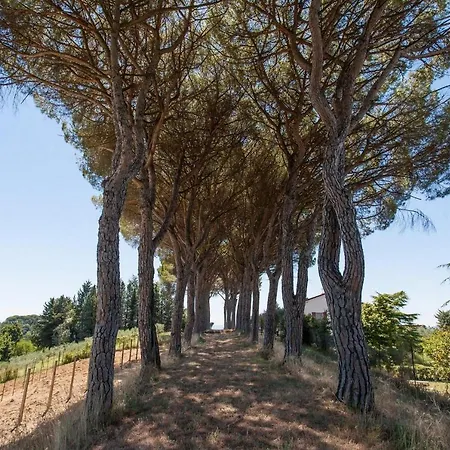Podere Caldaruccio La Pineta - 26 People & וילה