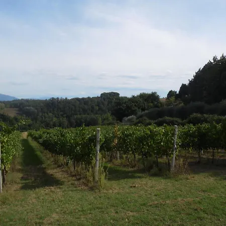 Podere Caldaruccio La Pineta - 26 People & וילה