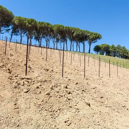 Podere Caldaruccio La Pineta - 26 People &