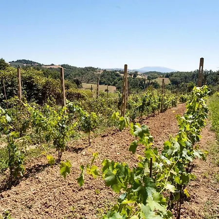 Podere Caldaruccio La Pineta - 26 People & Ramazzano - Le Pulci
